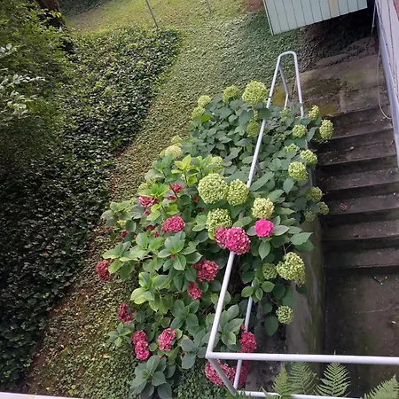 200 Meter Zum Rheinauhafen Homestay