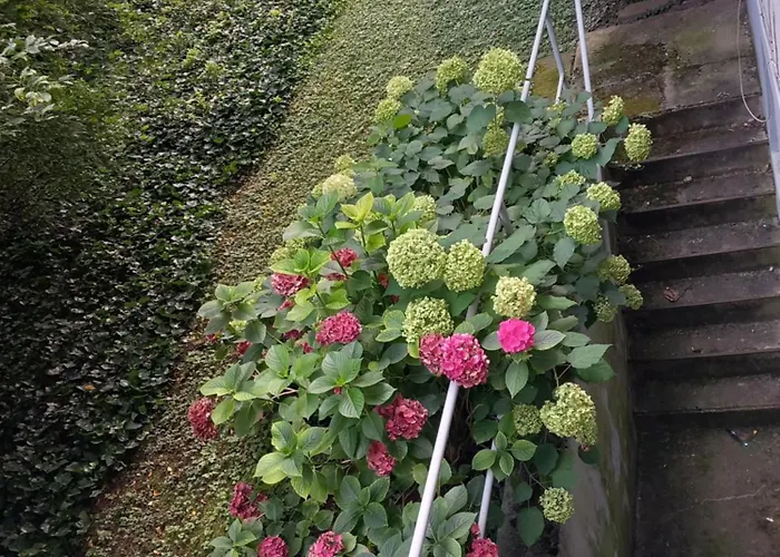 200 Meter Zum Rheinauhafen Проживание в семье